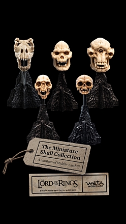 SKULLS OF MIDDLE-EARTH™ COLLECTION #001