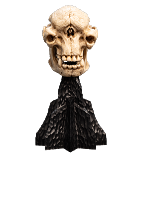 SKULL OF A CAVE TROLL